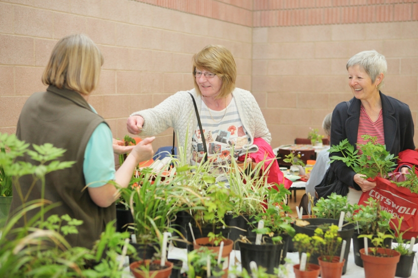 Plant Festival